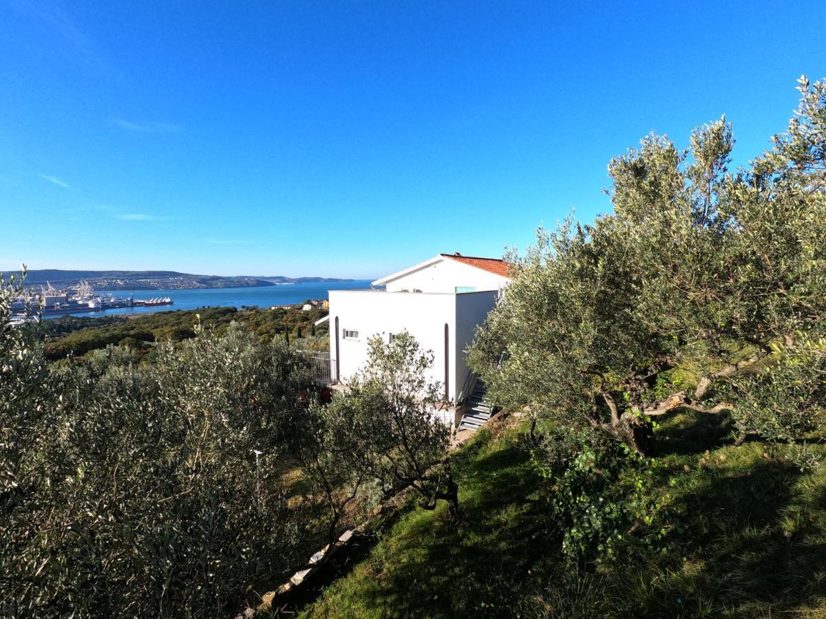 House Among Olive Trees With A Sea View 1 Apartment Ankaran Exterior photo